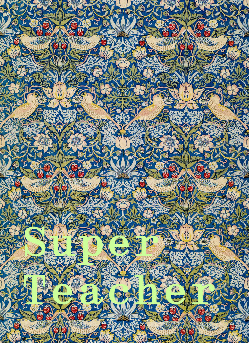 Super Teacher - Image 1