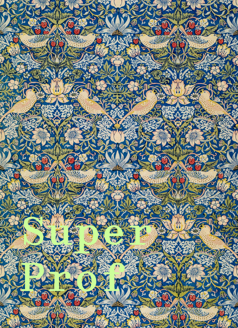 Super Prof - Image 1